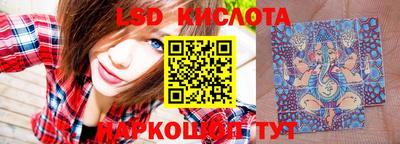 бошки Волгодонск